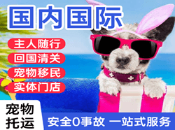 山南隆子航空快递国际宠物托运 【国
